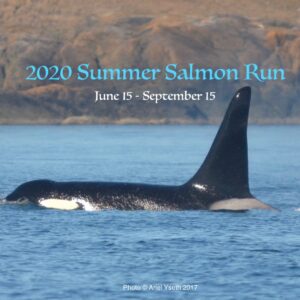 Join the 1st annual Summer Salmon Run!